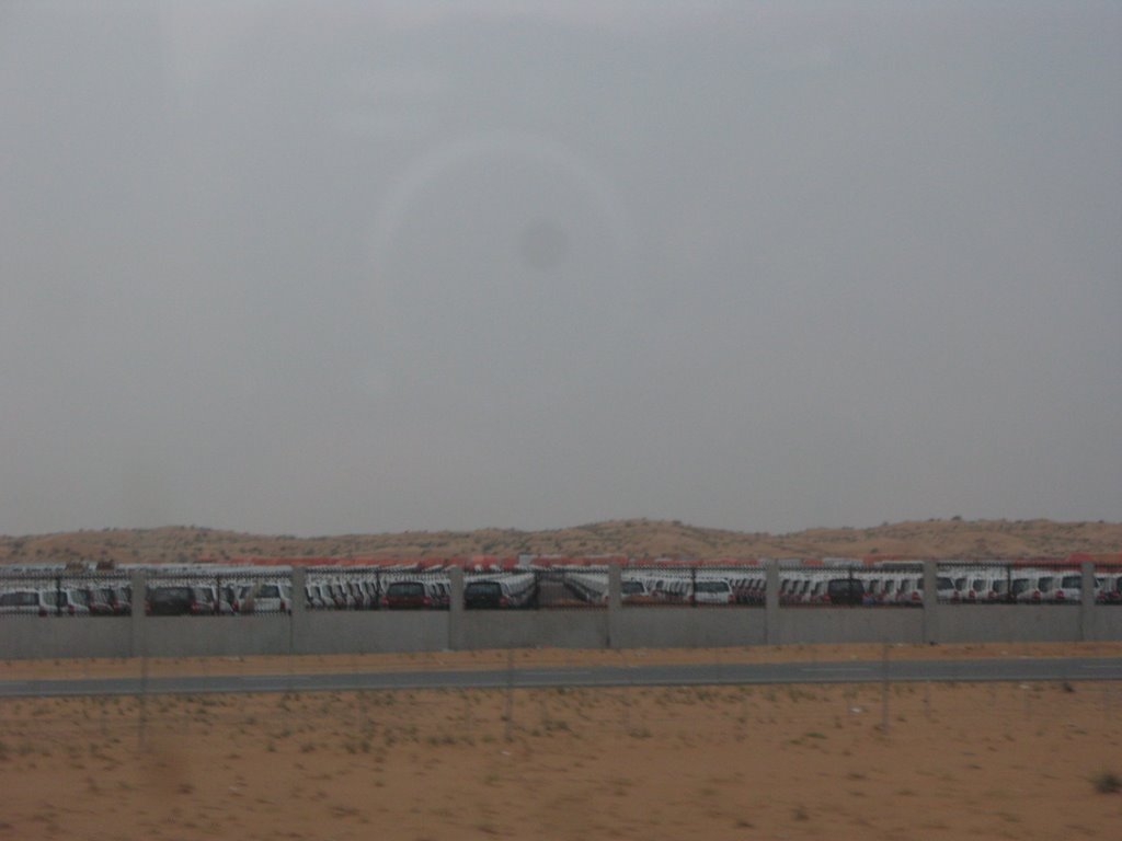 Cars are Parked before selling in Emirates Road - Ras Al Khaima (UAE) by leninaj