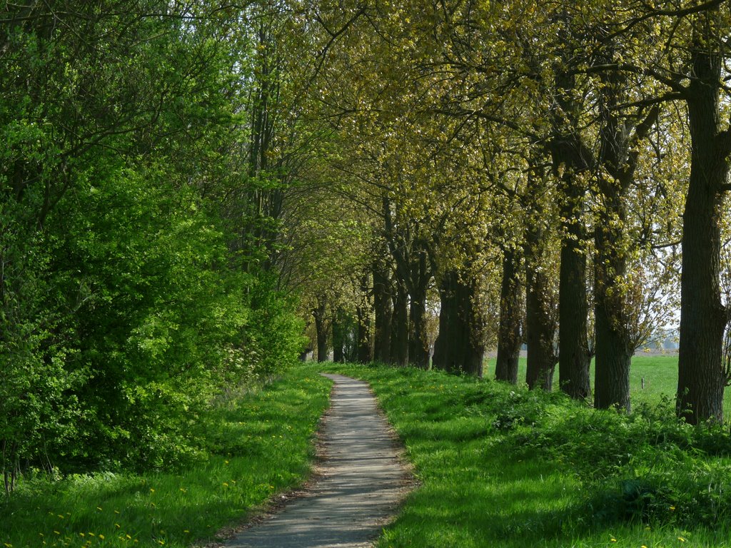 Fiets door Grunnen by Engelien Haverkate