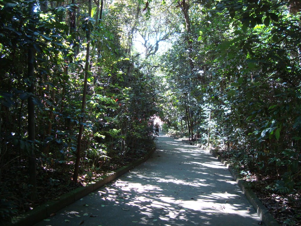 Parque Burle Marx - Caminho (04/2009) by Urias E. Takatohi