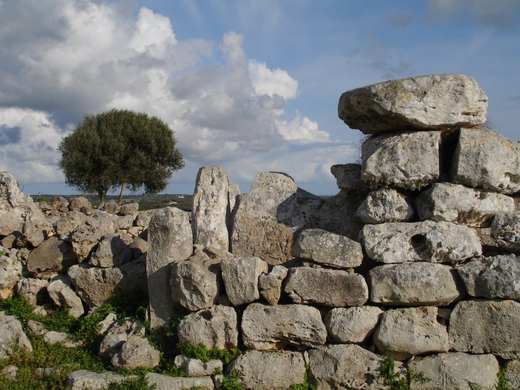 Torre d'en Gaumés by gpatgn