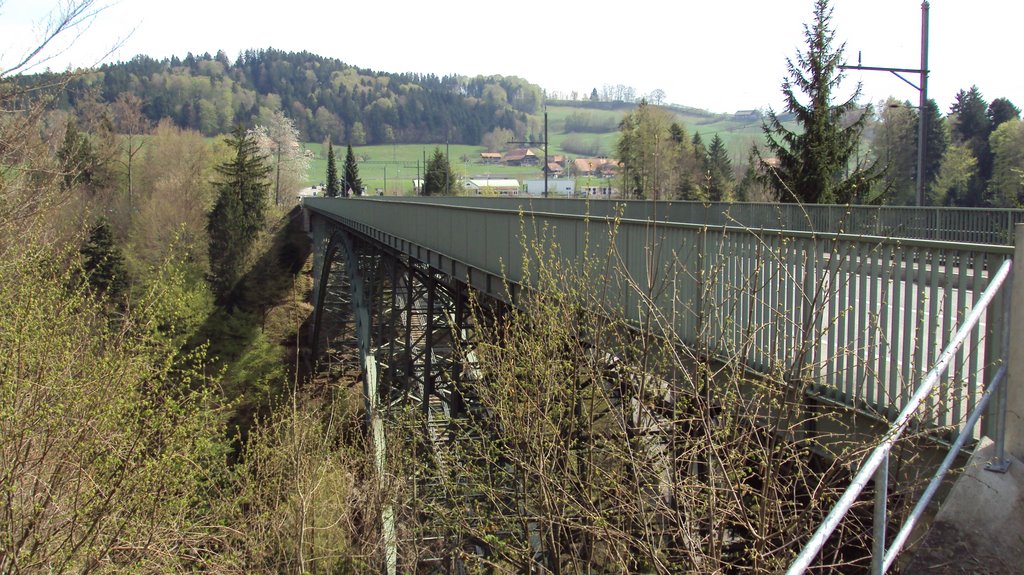 Schwarzwasser Brücke by Karsten Schubert