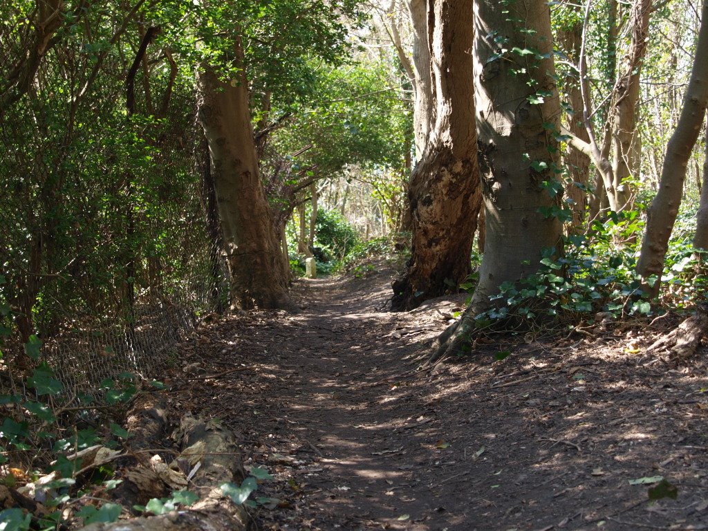 Walk above Sandgate by Anthony Ciantar