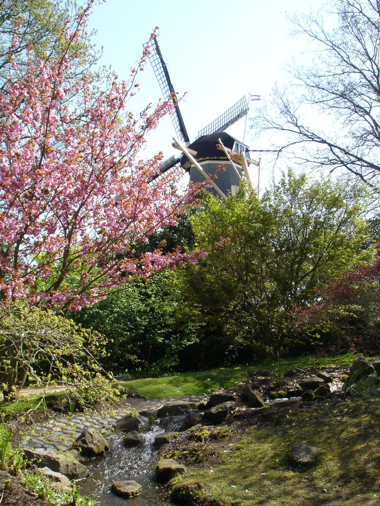 Keukenhof, Molen by harryausdemharz