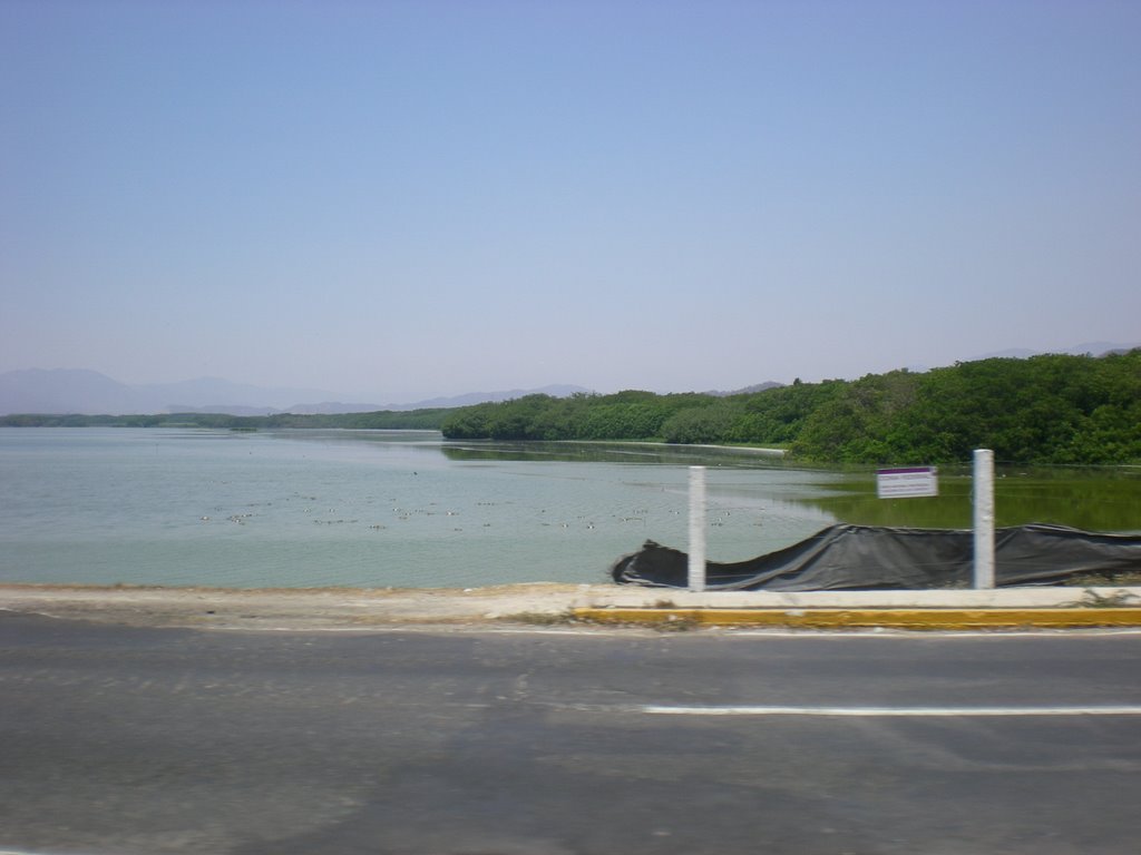 Laguna valle de las garzas by Martin Link