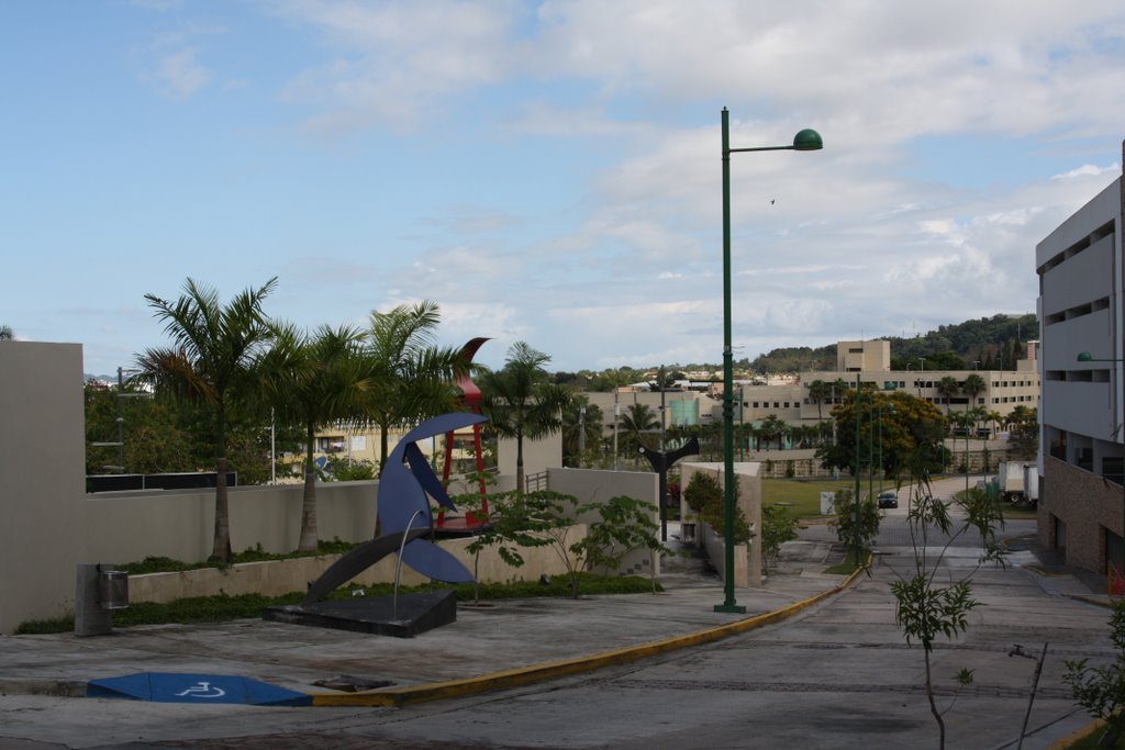 Plaza de los artistas-Guaynabo, pueblo de hombres Patriotas. by Ricardo David Jusino