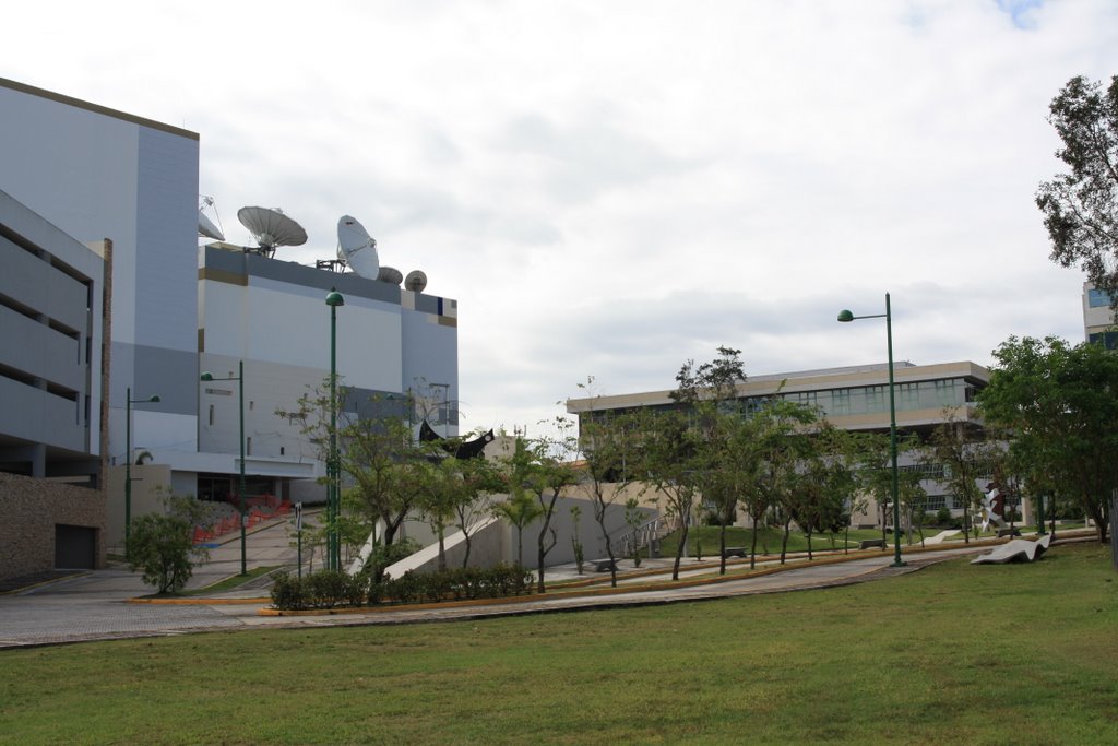 Plaza de los Artistas-Guaynabo, pueblo de hombres Patriotas. by Ricardo David Jusino