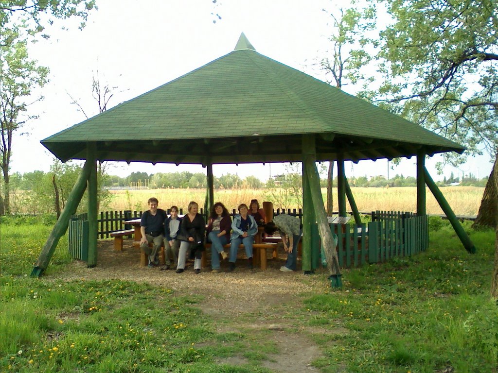 Székesfehérvár, Hungary by karcsit