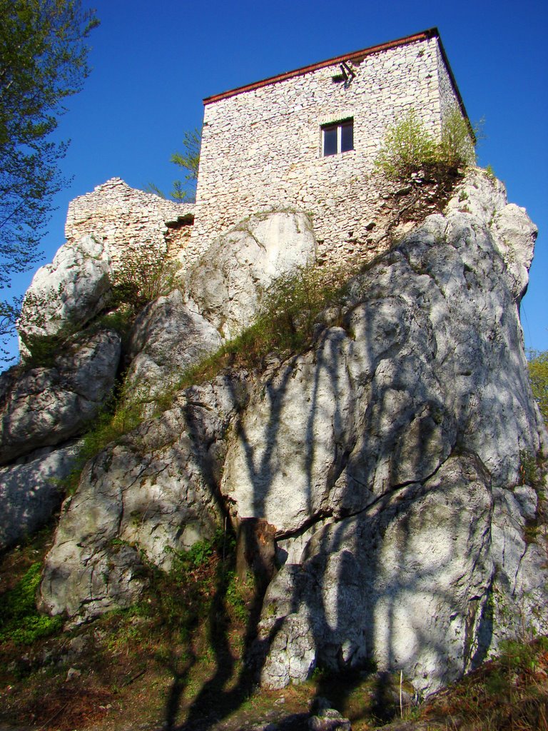 Morsko, zamek Bąkowiec by Robi K