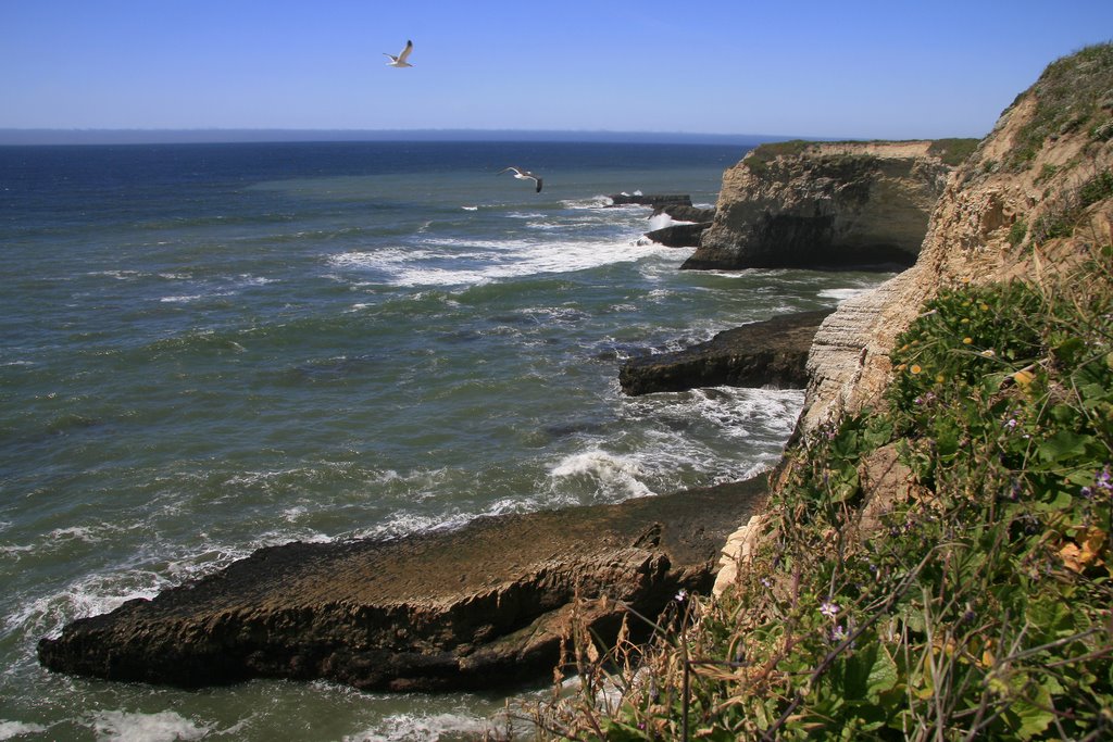 Davenport - Ocean & Cliffs, California by davidcmc58