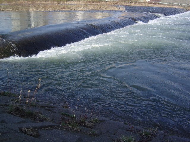 Toyohira River　春 by Takashi Uchiumi