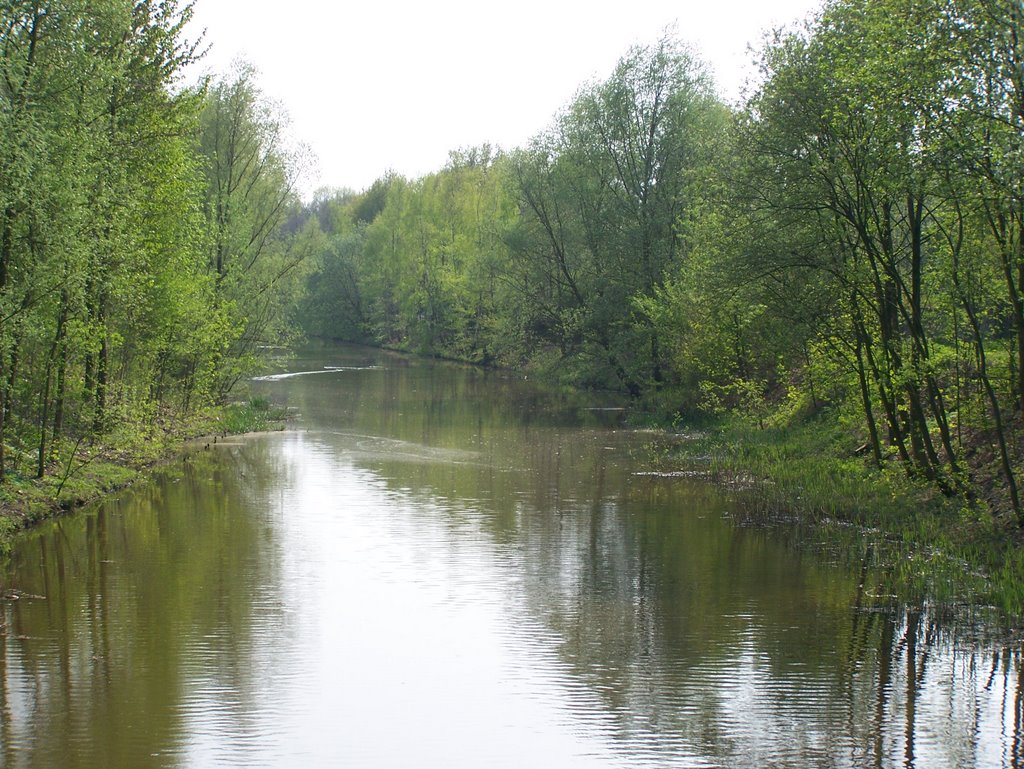 Regge vanaf fietsbruggetje richting Mozartlaan (17-04-2009) by sbj