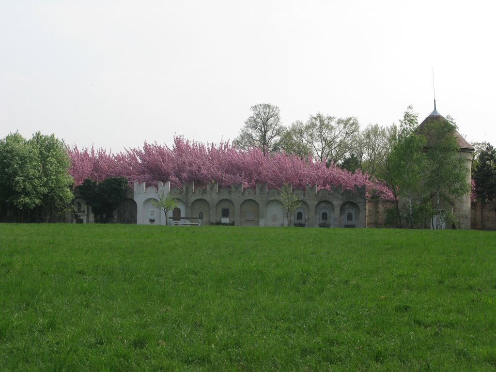 Zentralfriedhof-Krematorium by anfangmeister