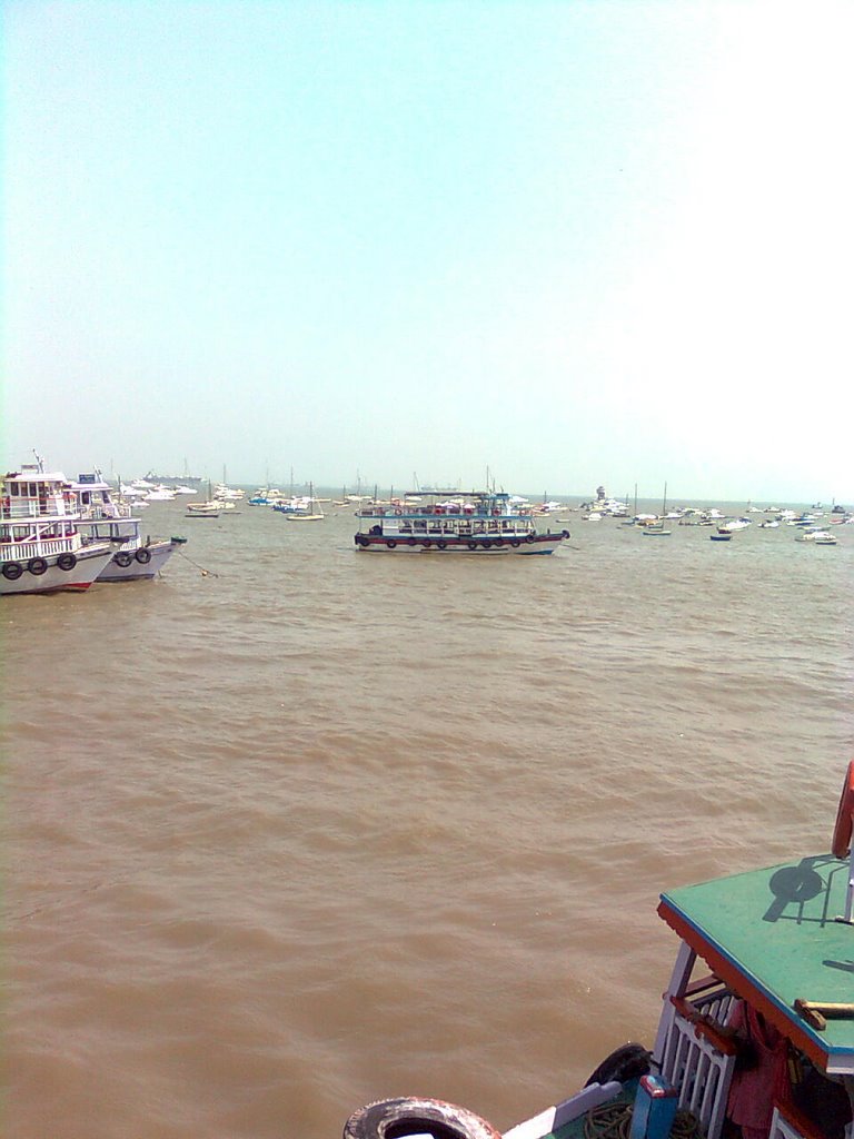 IN THE WAY TO ELEPHANTA by RAJESH SRIVASTAVA