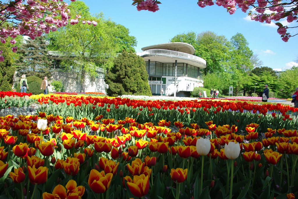 Kölner park by Viktor Löwens