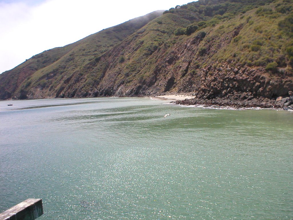 View from the pier by sprog68