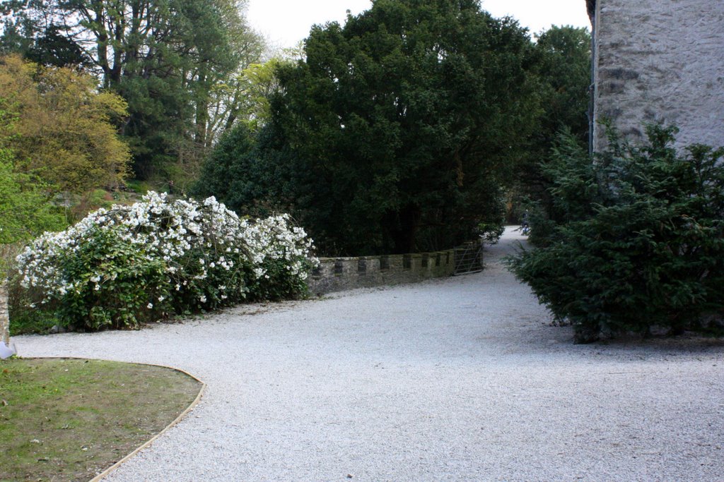 Sizergh Castle Gardens, Cumbria by aligriff