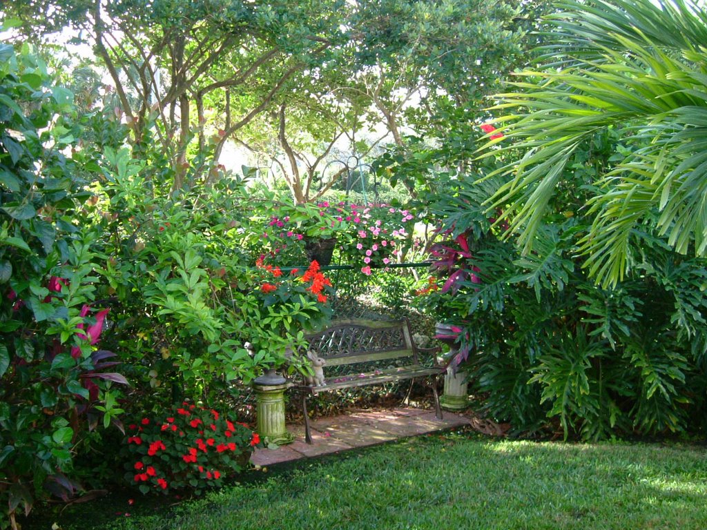 A Backyard in Canary Bay 2007 by Greg Polaski