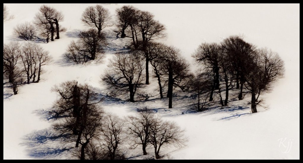 Tâches sur la neige by kinet jean jacques