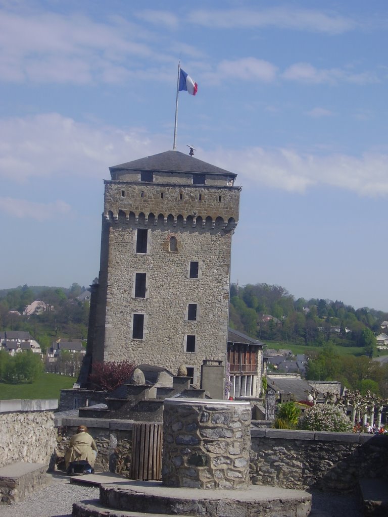 Castle in Lourdes by rhino123