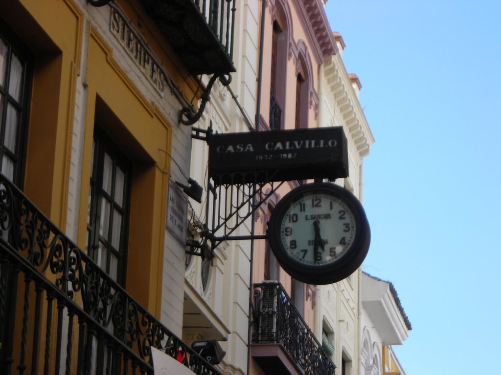 Rincones de Sevilla, Casa Calvillo. Abril de 2006 by viajeroandaluz