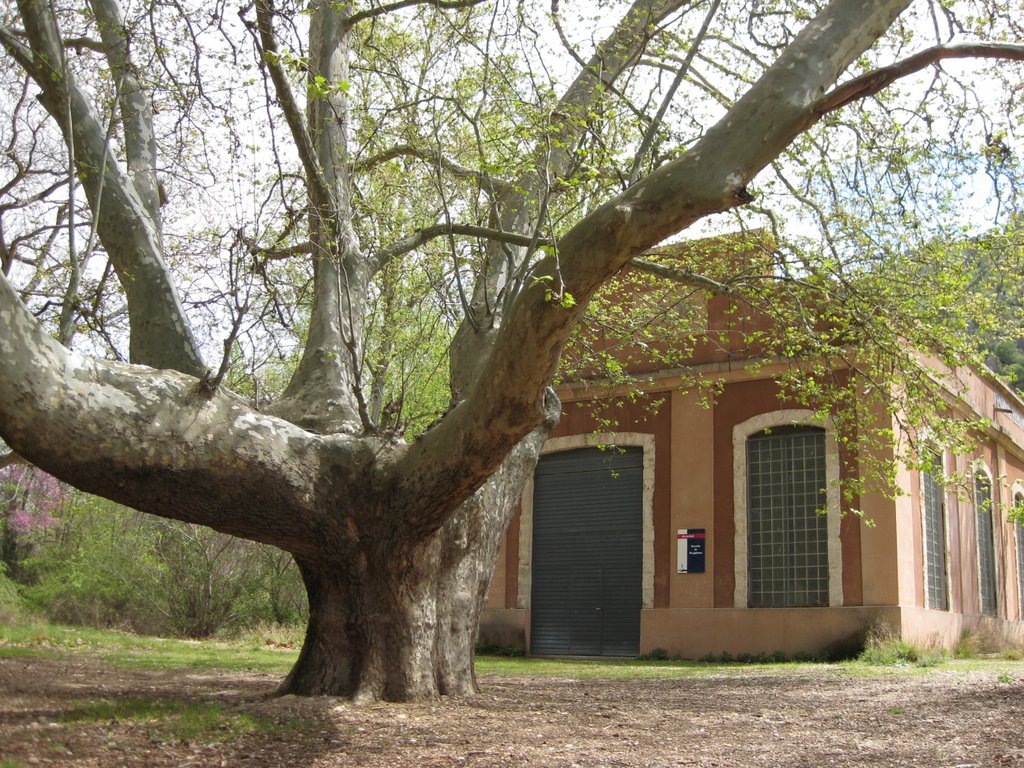 Central electrica 1(actual escuela de piraguismo) by el juanan