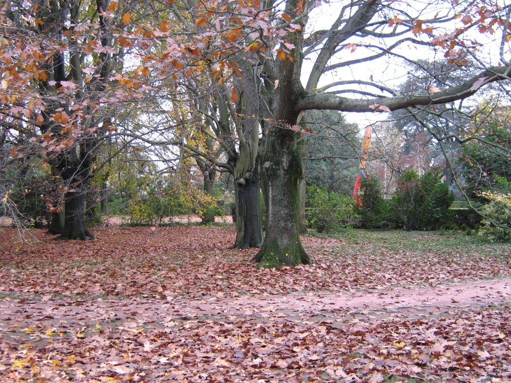 Serralves by Gregorini