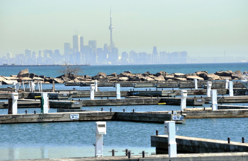 Downtown Toronto Seen From Paulus Park Port Credit by Steven 