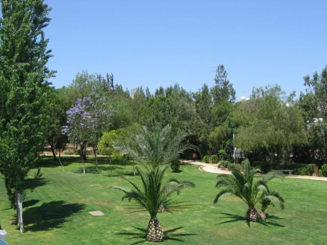 Akropolis Park by markos pastos