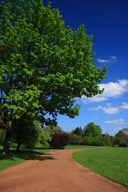 Japanischer Garten im Nordpark by Oliver Geiger