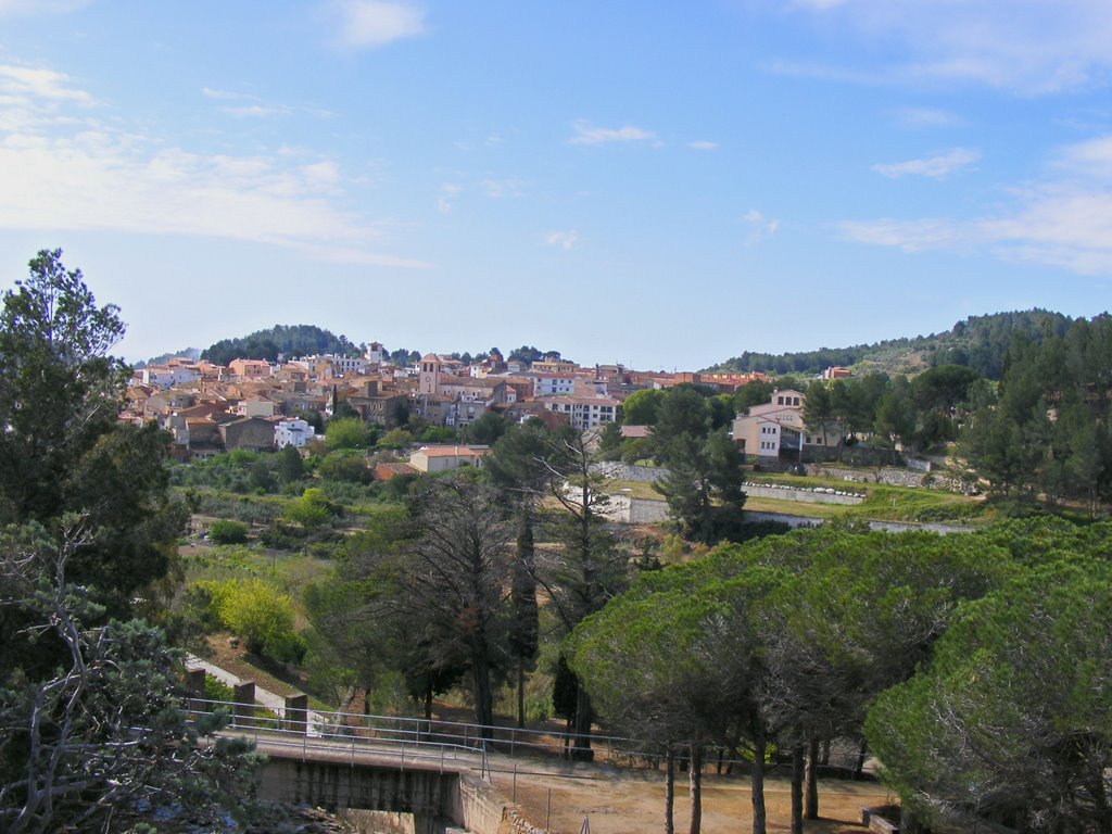 Riudecañes, pueblo visto desde la presa by hilberg