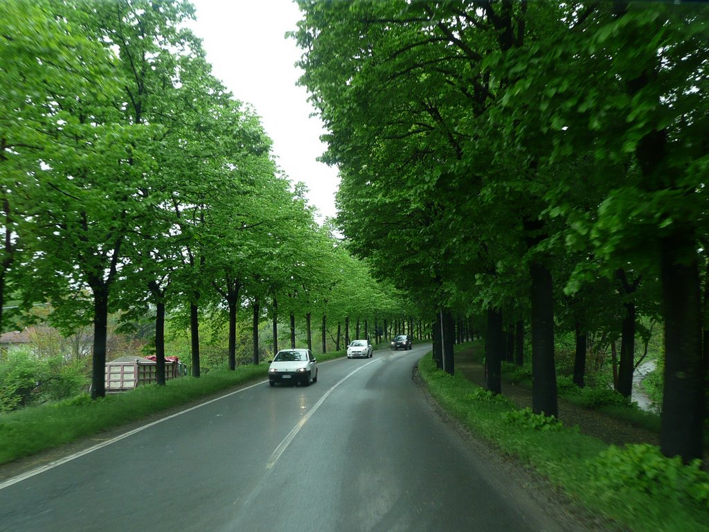 Strada verde by Daniele Lugari