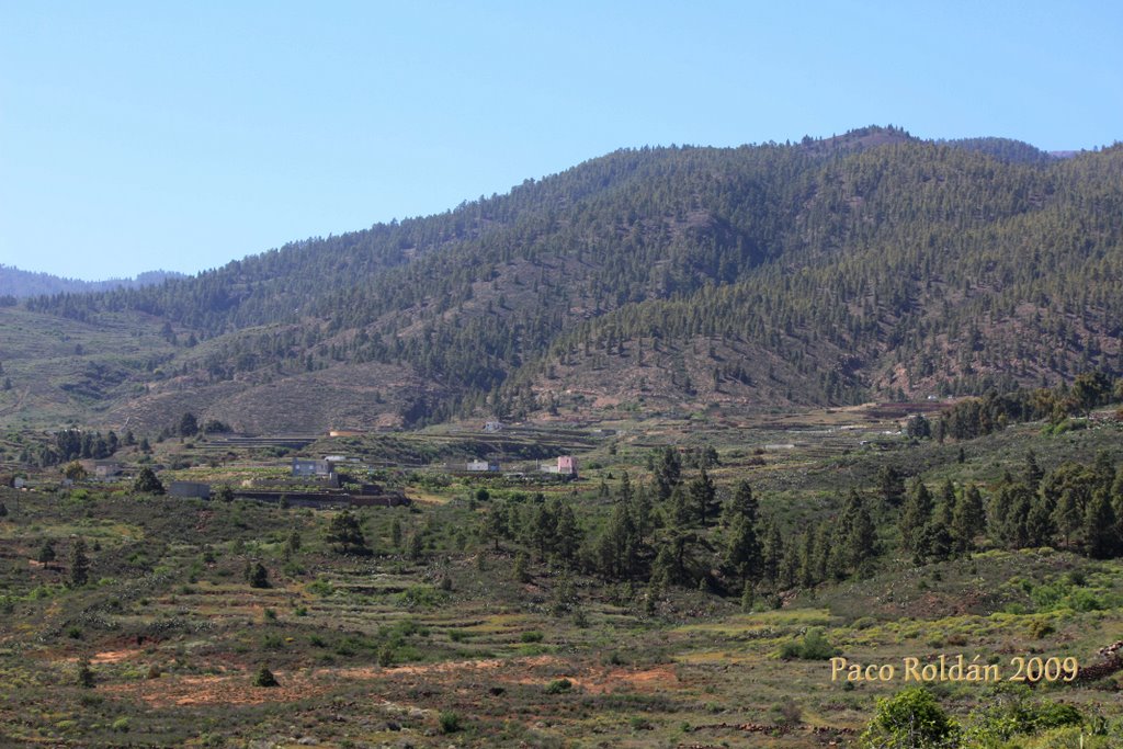 VISTAS DEL PAISEJE ENTRE GRANADILLA DE ABONA Y VILAFLOR by Paco Roldán Arjona