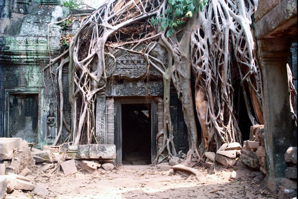 Siem Reap - Ta Prohm by Arielyo