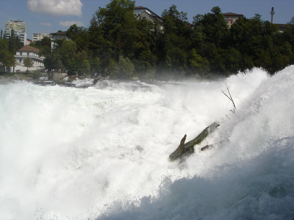 Rheinfall by Csongor Böröczky