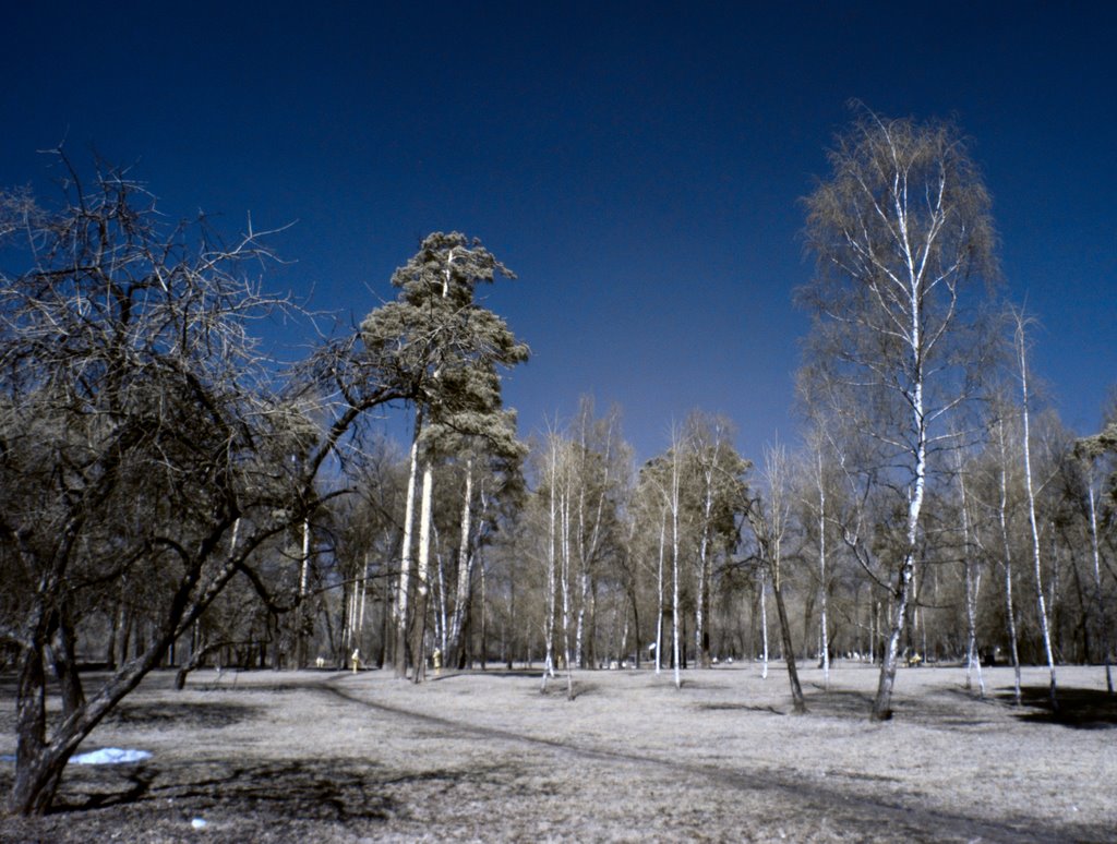 Парк у Джамгаровского пруда by Mrrl