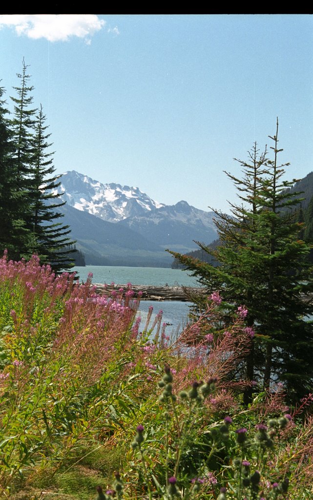 LAKE NEAR PEMBERTON2 by magabri75