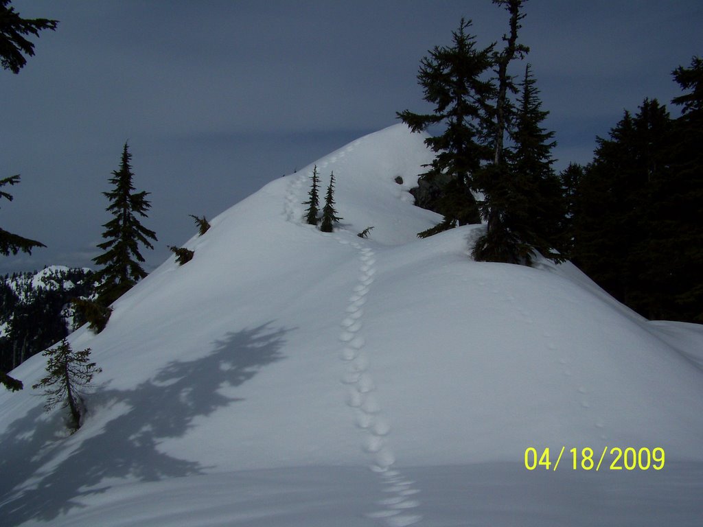 Last Push to the North Peak, Mt. Fromme by Wester