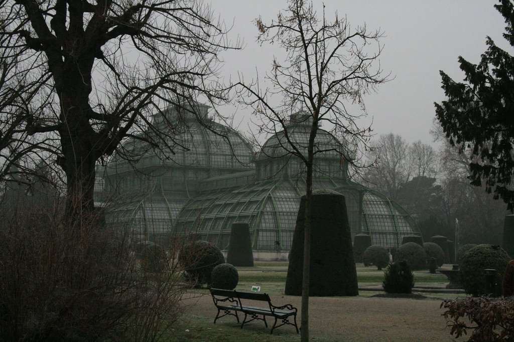 Vienna - Schönbrunn Serra by Artemisia (Cinzia Ol…