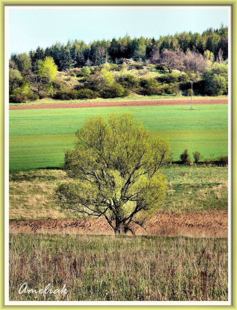 Kamienna Góra, Poland by Aleksander Wielocha