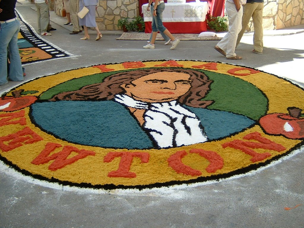 Alfombras de serrin 2006 by trenatox