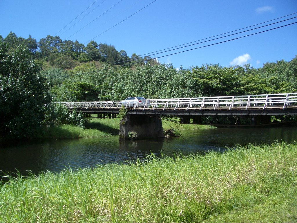 Swamp bridge by W. Reichow