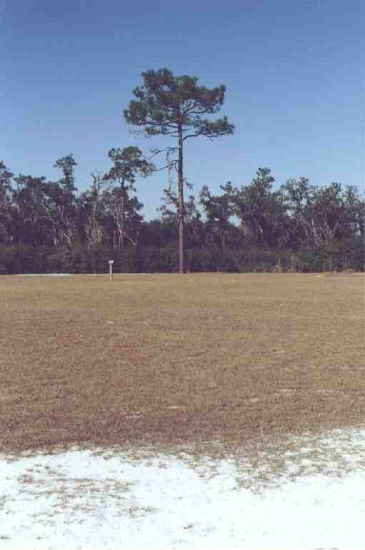 Site of Fort Chokonikla, Paynes Creek State Historic Site, Bowling Green, Florida by vanrcwisner