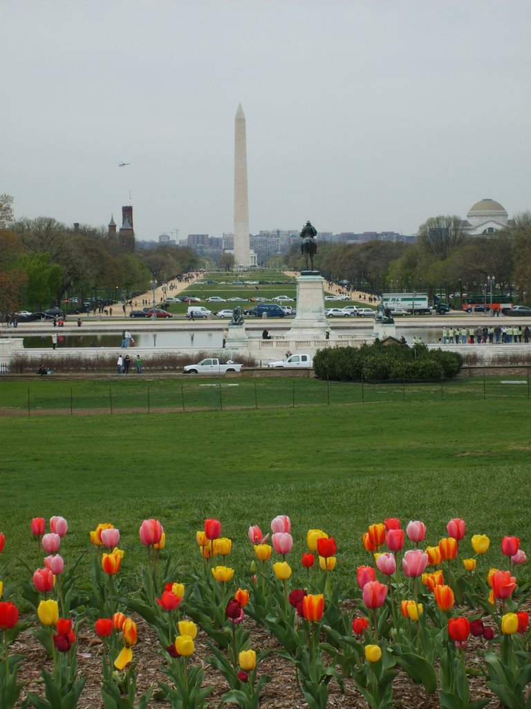 13 Apr 09: Looking to the Wash. monument from the Capitol by alexb91