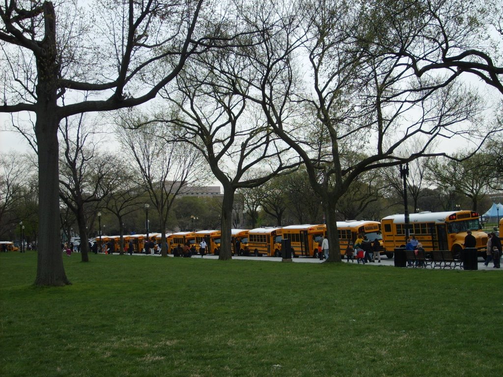 13 Apr 2009: School buses nr White House on Easter Egg Roll by alexb91