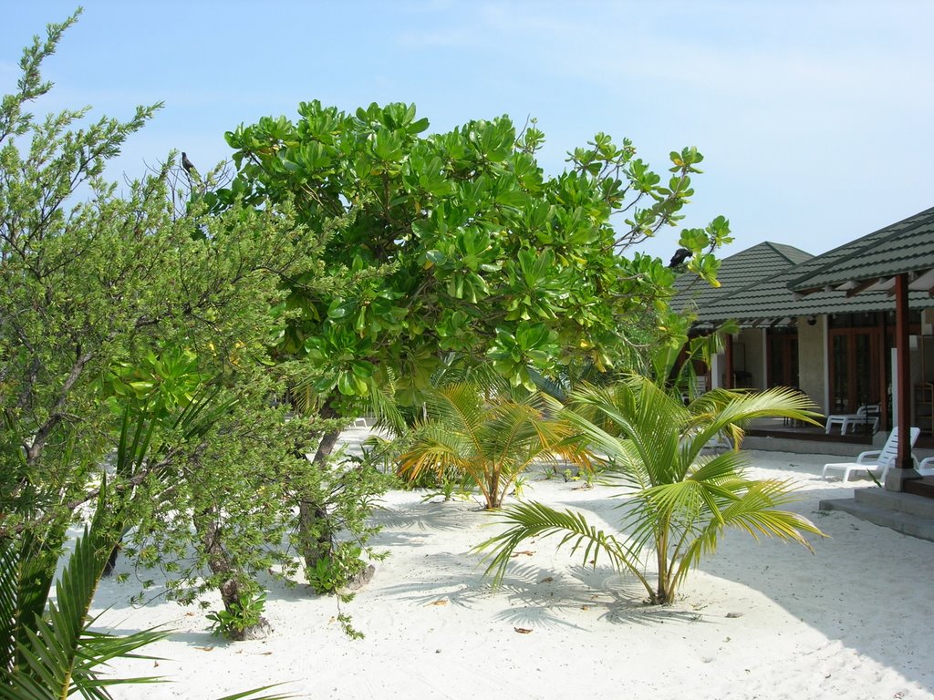 Meedhupparu Island Resort by ksv35