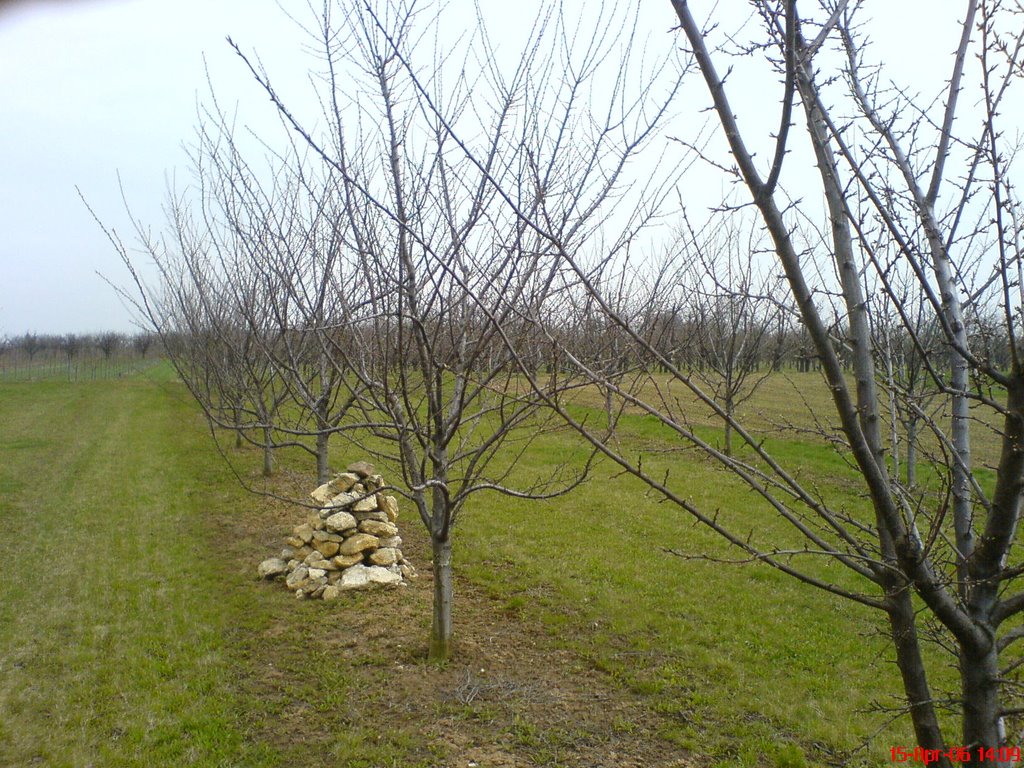 Fit für den Frühling by MartinWeller