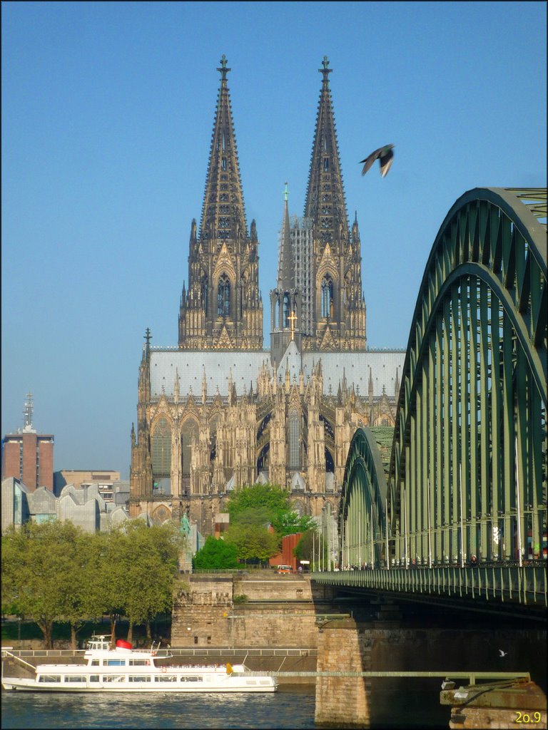 Cathedral of Cologne and a dove / Kölner Dom und eine Taube by © o.pur c.