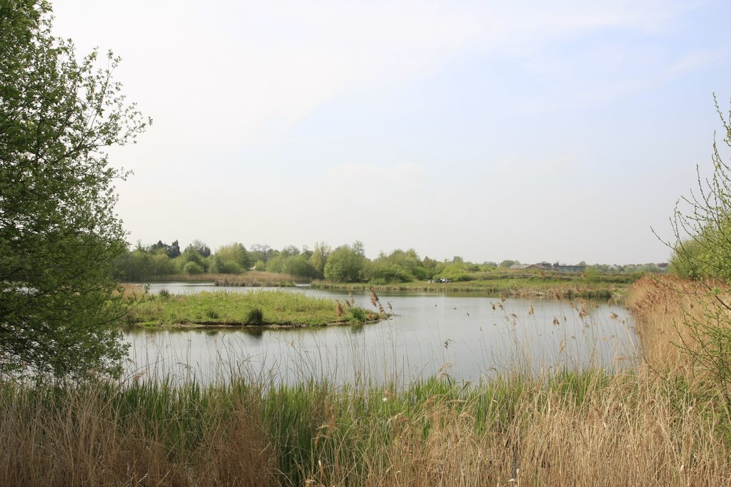 London Wetlands by HShing