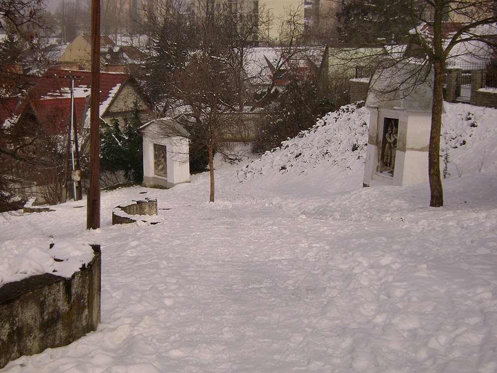 Calvary stations on Thomas Becket Hill, Febr.21,2009 by PanoramioEsztergom