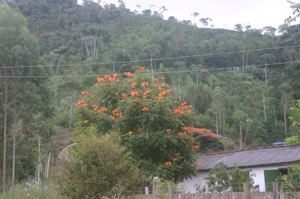 Divino de São Lourenço - State of Espírito Santo, Brazil by Marcelo Belique